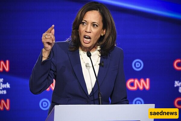 Kamala Harris' Investment Success: A Closer Look at Her Wealth