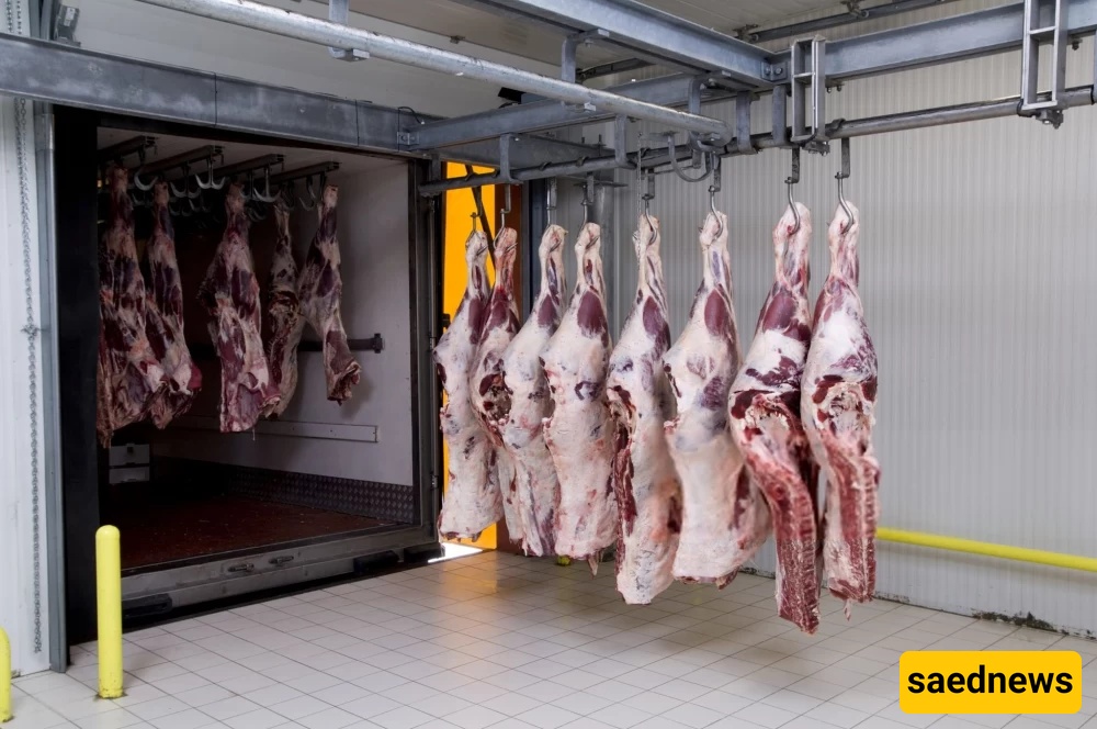Islamic meat