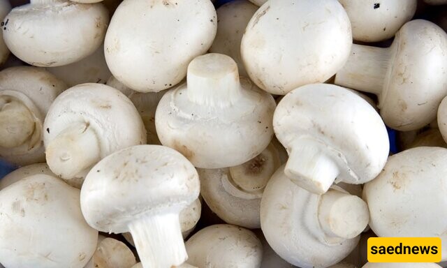 Mushrooms