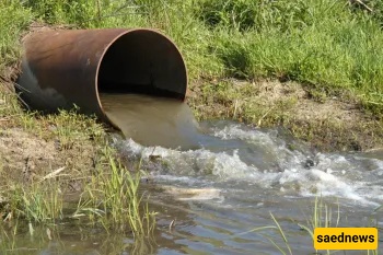 5 Religious Rules You Must Know Before Using Wastewater on Your Crops!