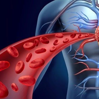 Electricity Generation Using Human Blood