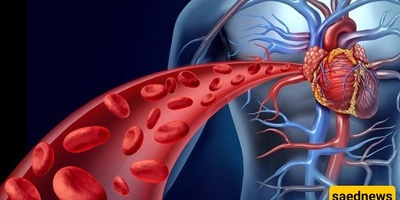 Electricity Generation Using Human Blood