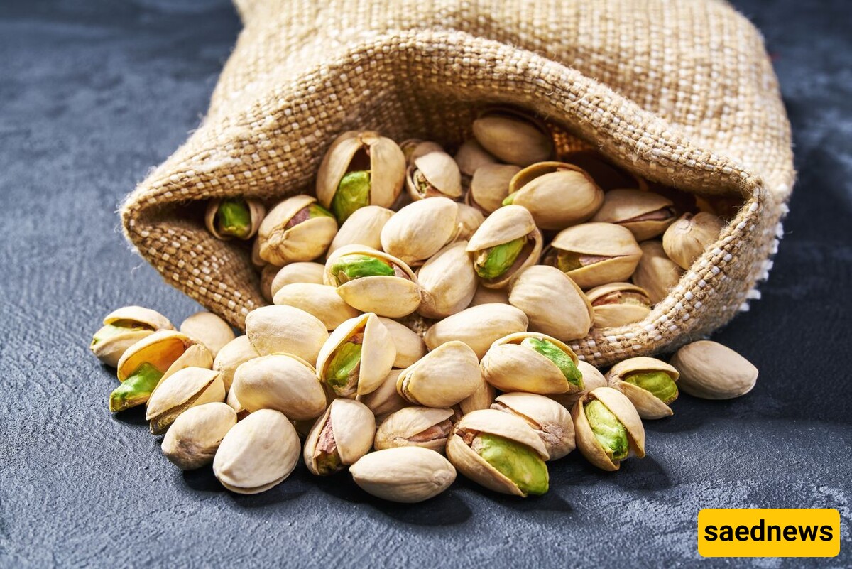 Iran's Pistachio Exports Skyrocket 193% in Just Four Months, More Demand for the "Green Gold"