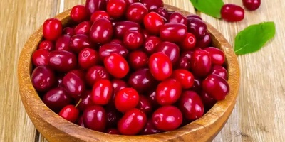 Homemade Cornelian Cherry Pickles Recipe