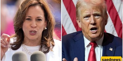 From Trump’s Billions to Harris’s Properties: The Comparison Everyone’s Talking About!