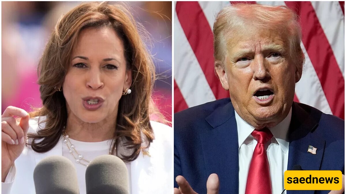 From Trump’s Billions to Harris’s Properties: The Comparison Everyone’s Talking About!