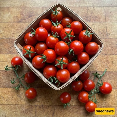 How To Store Tomatoes For Better Flavor And Freshness