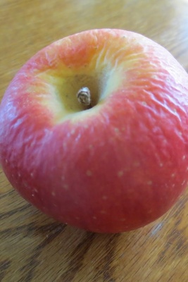 Why Do Fruits Become Wrinkled?