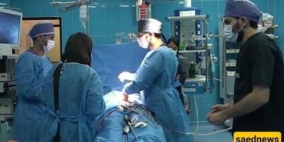 Discovery of 15 Buckets of Human Body Parts in a Pistachio Orchard in Anar Causes Shock – What Happened?