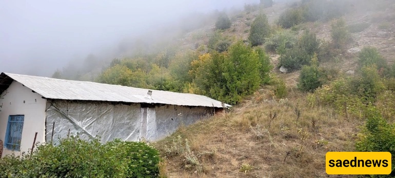Drazno village