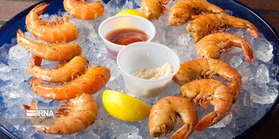 Qeshm Island’s Sohaili Village: A Culinary Paradise for Traditional & Seafood Lovers