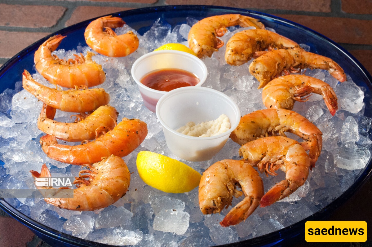 Qeshm Island’s Sohaili Village: A Culinary Paradise for Traditional & Seafood Lovers