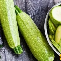 Properties, Temperament, and Corrective Pairings of Zucchini in Traditional Medicine