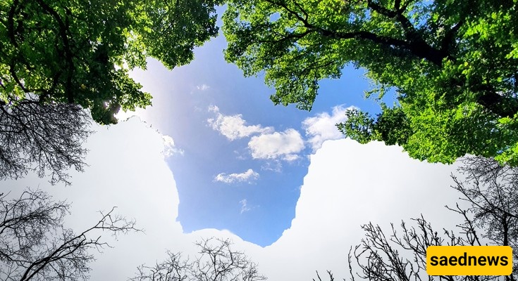 Clean Air 