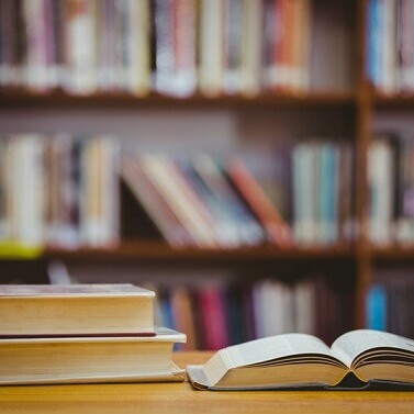The World’s Most Unique Libraries with Unusual Beauty / When Art and Creativity Bring Everything Out of Nothing