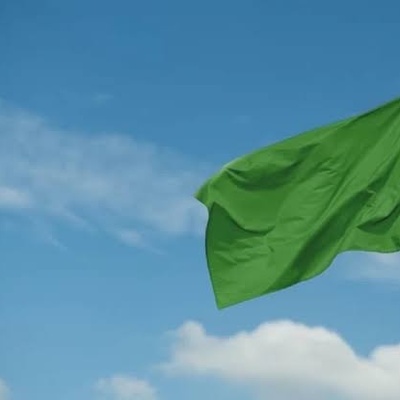 What Are Green Flags? Signs of a Healthy Relationship and Emotional Security