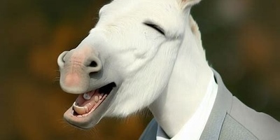 The Strange Case of a Woman and Her Donkey: The Gradual Erosion of Humanity in America