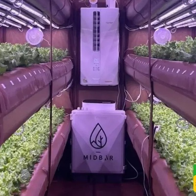Soilless Farming with 99% Water Savings! What’s the Secret Behind AirFarm’s Success?