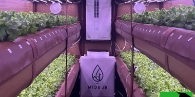 Soilless Farming with 99% Water Savings! What’s the Secret Behind AirFarm’s Success?