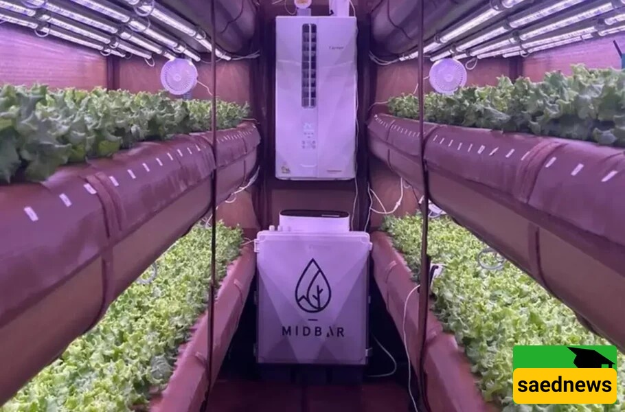 Soilless Farming with 99% Water Savings! What’s the Secret Behind AirFarm’s Success?