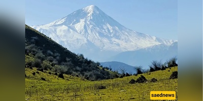 Journey to the Legendary Alimestan Forest – The Land of Clouds and Tales