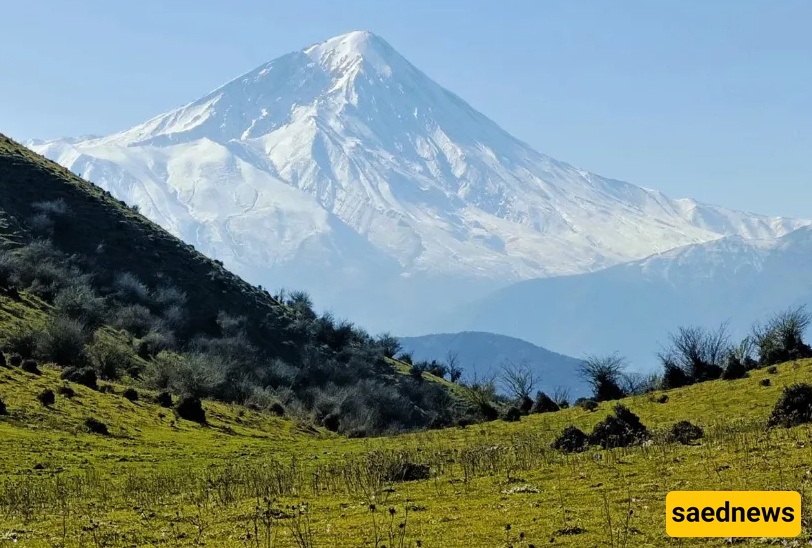Journey to the Legendary Alimestan Forest – The Land of Clouds and Tales