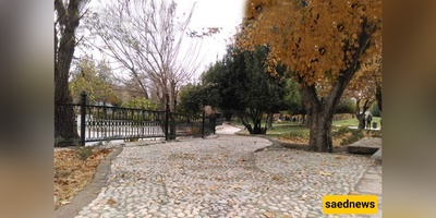 I Wandered Shiraz’s National Garden(This Tree-Scented City Heart Stole My Morning)