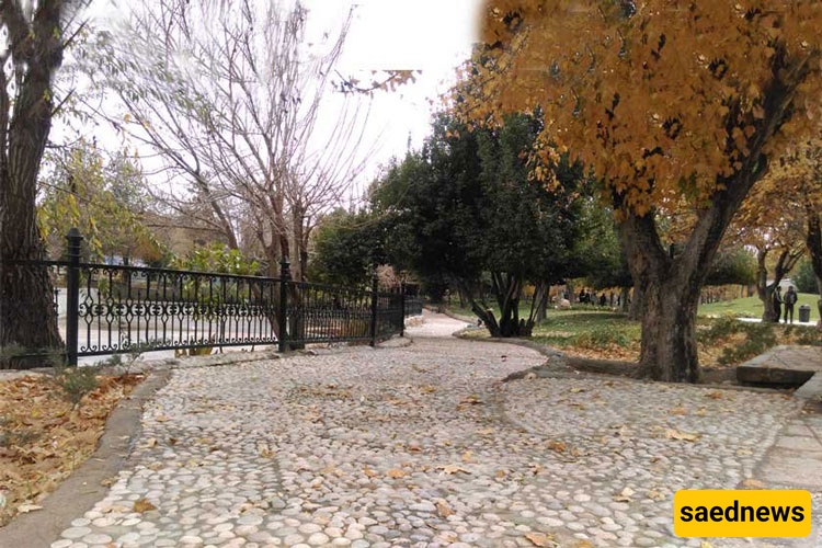 I Wandered Shiraz’s National Garden(This Tree-Scented City Heart Stole My Morning)