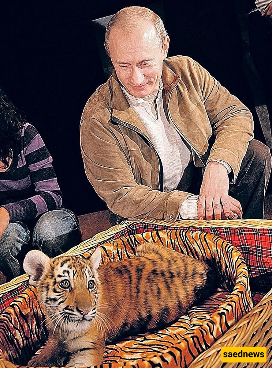Vladimir Putin