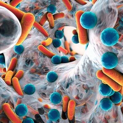 New Discovery: Key Cause of Antibiotic Resistance & Strategies to Combat It