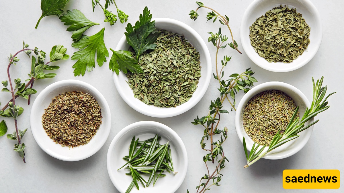 Fresh Herbs