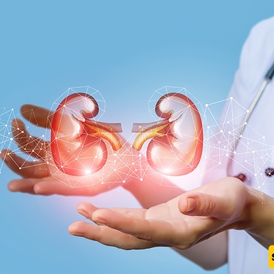 An Increase In This Substance In The Body Can Shut Down Your Kidneys