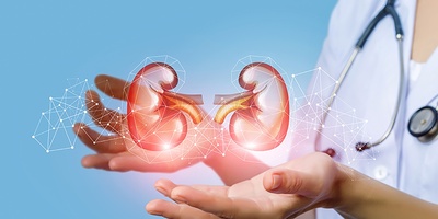 An Increase In This Substance In The Body Can Shut Down Your Kidneys