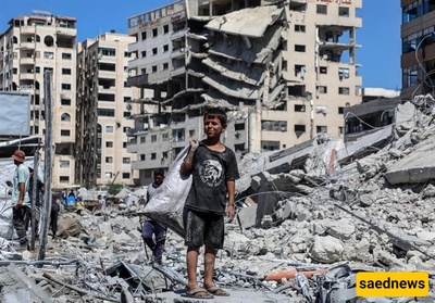 Gaza; Life Among 1.5-Kilogram Rats