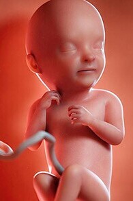 What Does Seeing a Fetus in a Dream Mean? / Interpretation of Dream about a Fetus