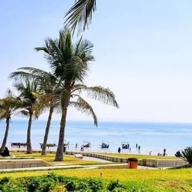 A Complete Guide to Zeytoon Park in Qeshm: Exceptional Facilities and Exciting Activities