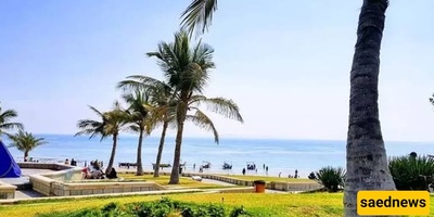A Complete Guide to Zeytoon Park in Qeshm: Exceptional Facilities and Exciting Activities