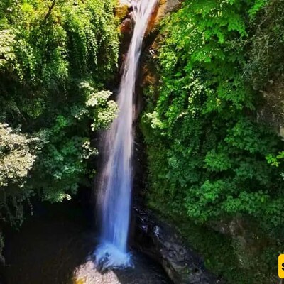 A Video Showcasing the Enchanting Beauty of the Depths of the Talesh Forests: "Kaj Daryaben Waterfall."