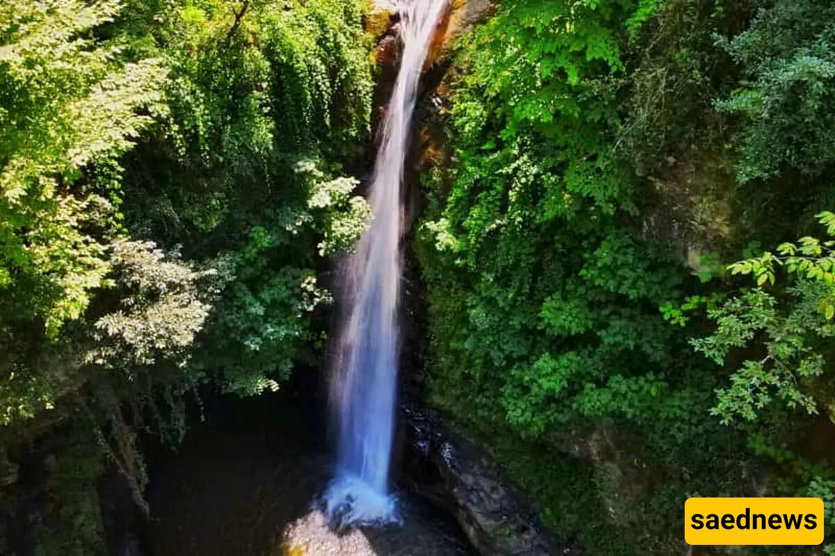 A Video Showcasing the Enchanting Beauty of the Depths of the Talesh Forests: "Kaj Daryaben Waterfall."