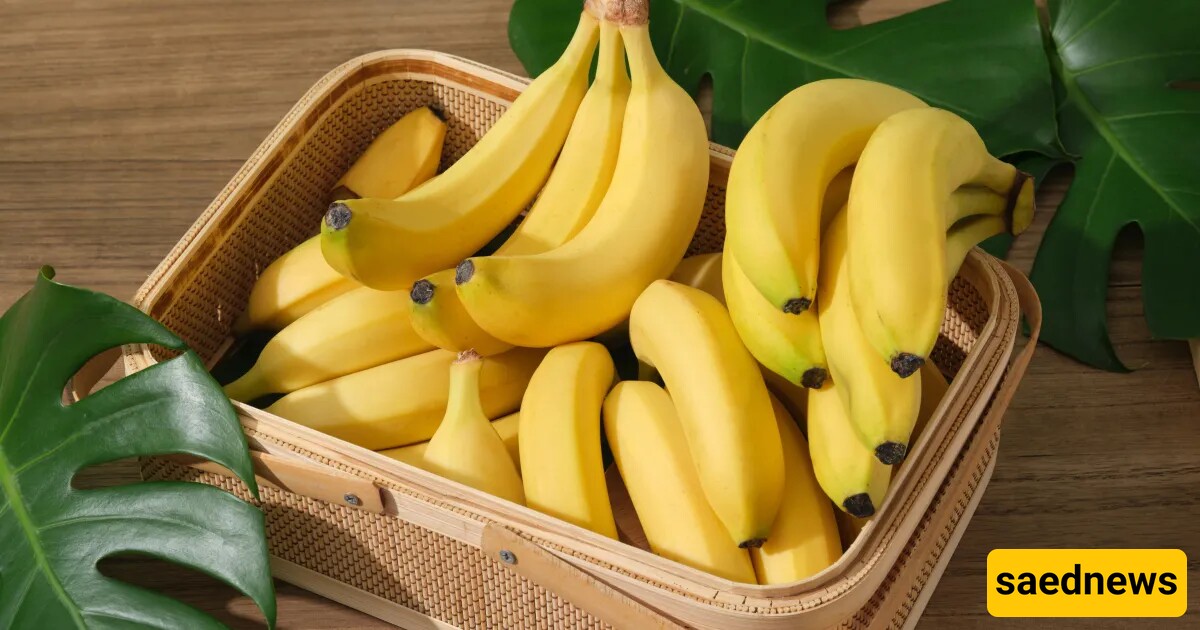 Bananas