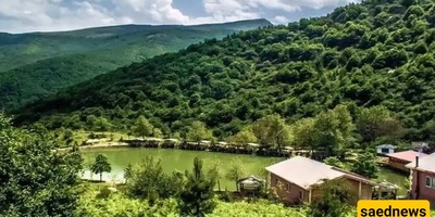 A Captivating and Majestic Journey to Swan Lake