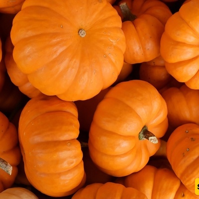 How to Tell Which Sweets Are Really Sweet and Which Pumpkins to Avoid