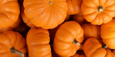 How to Tell Which Sweets Are Really Sweet and Which Pumpkins to Avoid