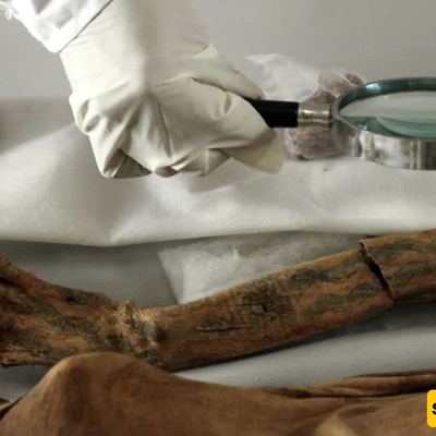 Ancient Tattoos’ Astonishing Secret Revealed: Healing or Beauty?