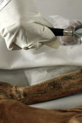 Ancient Tattoos’ Astonishing Secret Revealed: Healing or Beauty?