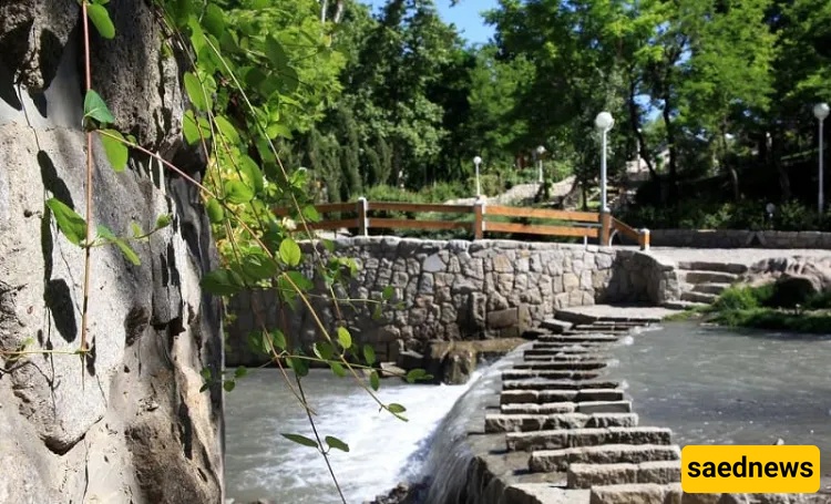 Vakilabad Forest Park