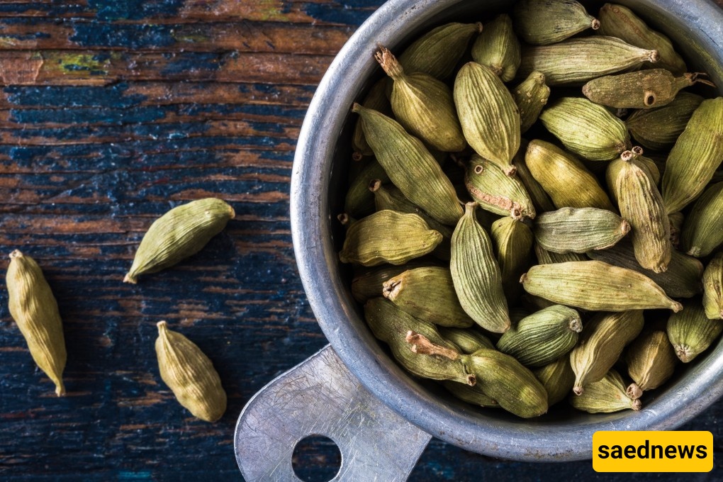 Cardamom