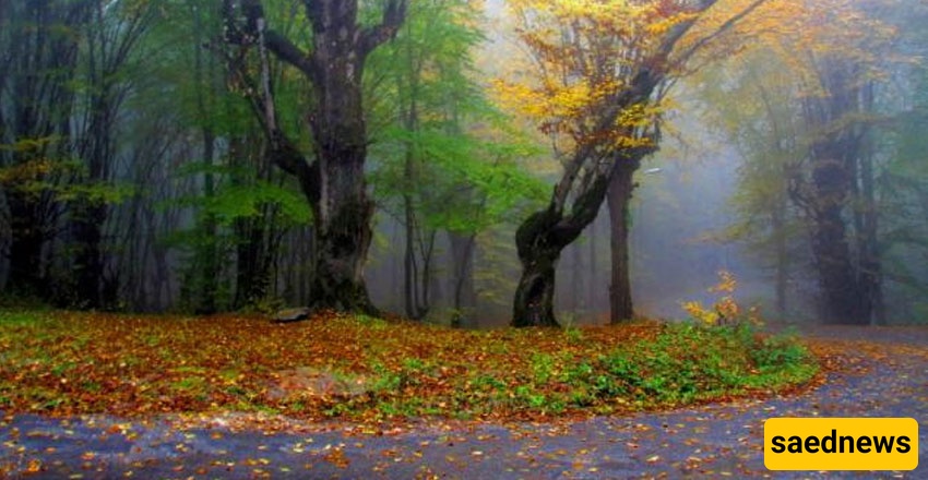  Shahroud, Gorgan road