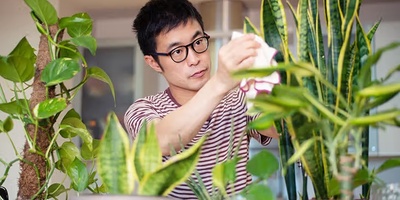 Simple Ways To Boost Plant Growth Without Complicated Care