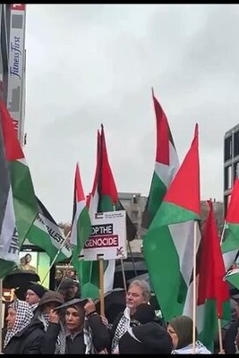 Pro-Palestine Demonstration Takes Place in Berlin